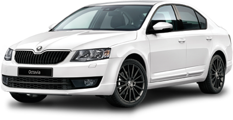 Největší výběr vozidel - Škoda Octavia