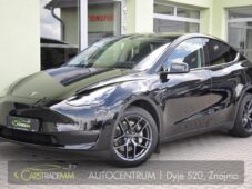 Tesla Model Y LONG RANGE DUAL - 0
