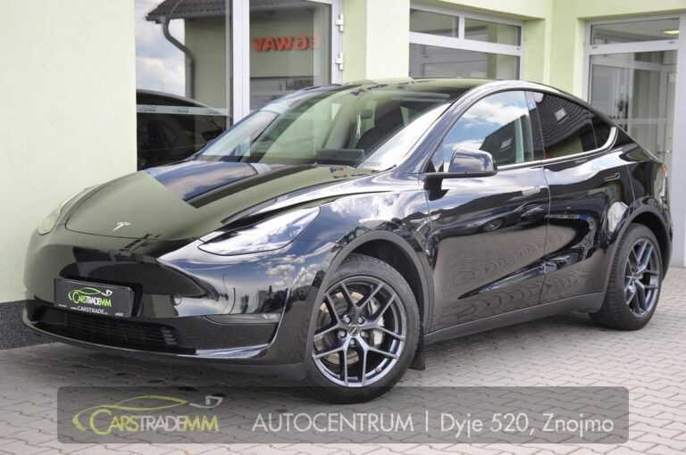 Tesla Model Y LONG RANGE DUAL - 1