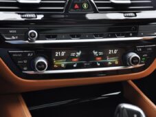 BMW Řada 5 530xD M-SPORT ČR 1.MAJ PANOR. - 31