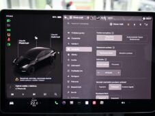 Tesla Model Y LONG RANGE DUAL MOTOR AWD - 29
