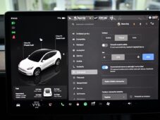 Tesla Model Y RWD STANDARD RANGE 1M 13tis.KM - 32