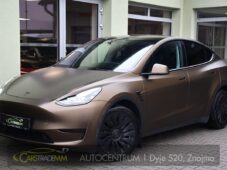 Tesla Model Y RWD STANDARD RANGE 1M - 0