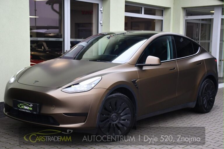 Tesla Model Y RWD STANDARD RANGE 1M - 1