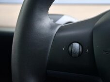 Tesla Model Y RWD STANDARD RANGE 1M - 22