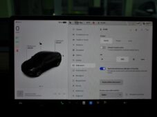 Tesla Model Y RWD STANDARD RANGE 1M - 31