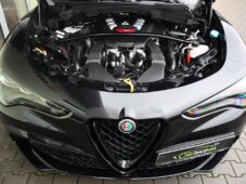 Alfa Romeo Stelvio 2.9V6 Bi-T.382 kW QUADRIFOGLIO - 43