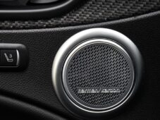 Alfa Romeo Stelvio 2.9V6 Bi-T.382 kW QUADRIFOGLIO - 41