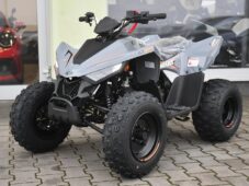 Linhai Ostatní ATV 110 2X4 EFI CE SKLADEM - 0
