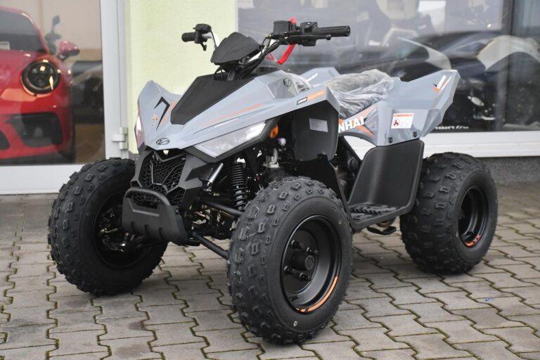 Linhai Ostatní ATV 110 2X4 EFI CE SKLADEM - 1