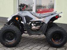 Linhai Ostatní ATV 110 2X4 EFI CE SKLADEM - 5