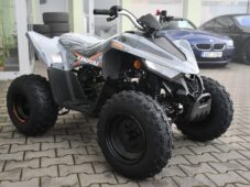 Linhai Ostatní ATV 110 2X4 EFI CE SKLADEM - 1