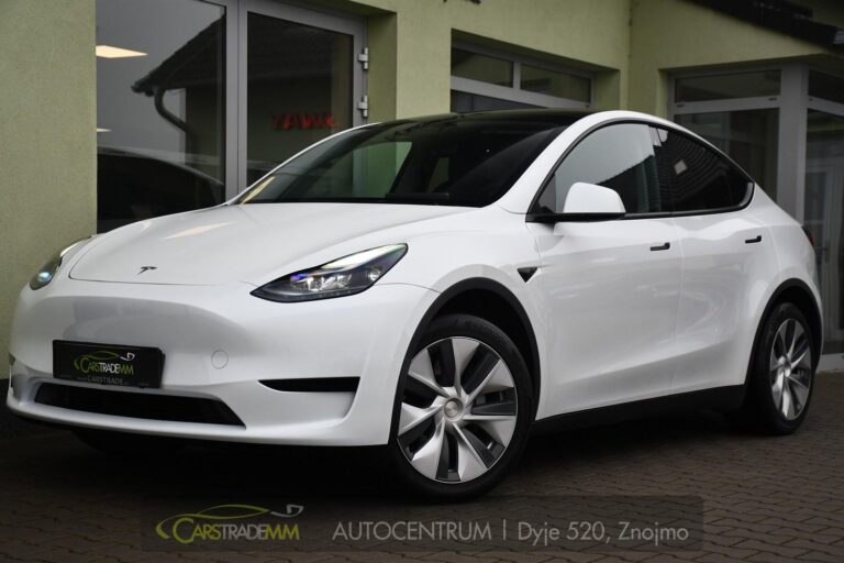 Tesla Model Y STANDARD RANGE 1M SoH 96% - 1