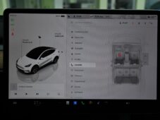 Tesla Model Y STANDARD RANGE 1M SoH 96% - 29