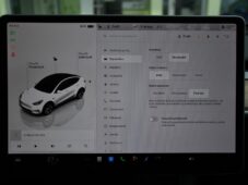 Tesla Model Y STANDARD RANGE 1M SoH 96% - 25