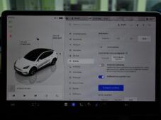 Tesla Model Y STANDARD RANGE 1M SoH 96% - 28