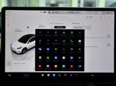 Tesla Model Y STANDARD RANGE 1M SoH 96% - 31