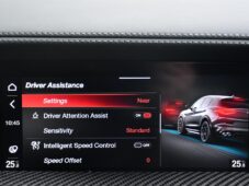 Alfa Romeo Stelvio 2.9V6 Bi-T.382 kW QUADRIFOGLIO - 32