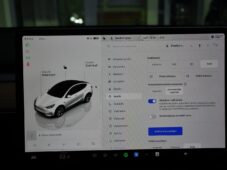 Tesla Model Y LONG RANGE DUAL MOTOR 95,8SoH - 34
