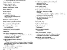 Volkswagen ID.7 Tourer PRO S PEOPLE 86kWh 5L-ZÁRUKA - 58