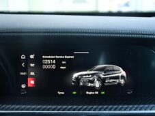 Alfa Romeo Stelvio 2.9V6 Bi-T.382 kW QUADRIFOGLIO - 33