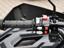 Segway Snarler AT10 WL EPS LIMITED, T3b, CAMO - 18