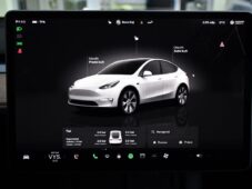 Tesla Model Y RWD STANDARD RANGE 1M 98%SoH - 24