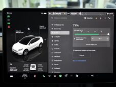 Tesla Model Y RWD STANDARD RANGE 1M 98%SoH - 27