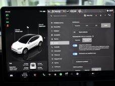 Tesla Model Y RWD STANDARD RANGE 1M 98%SoH - 29