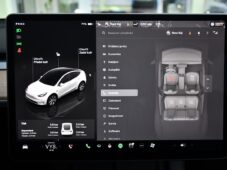 Tesla Model Y RWD STANDARD RANGE 1M 98%SoH - 30