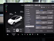 Tesla Model Y RWD STANDARD RANGE 1M 98%SoH - 33