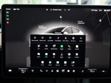 Tesla Model Y RWD STANDARD RANGE 1M 98%SoH - 34