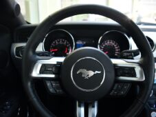 Ford Mustang 5.0V8 ČR - 15