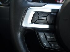 Ford Mustang 5.0V8 ČR - 16