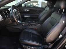 Ford Mustang 5.0V8 ČR - 8