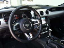 Ford Mustang 5.0V8 ČR - 10