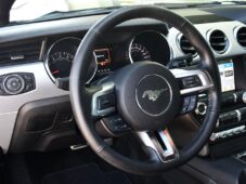 Ford Mustang 5.0V8 ČR - 11