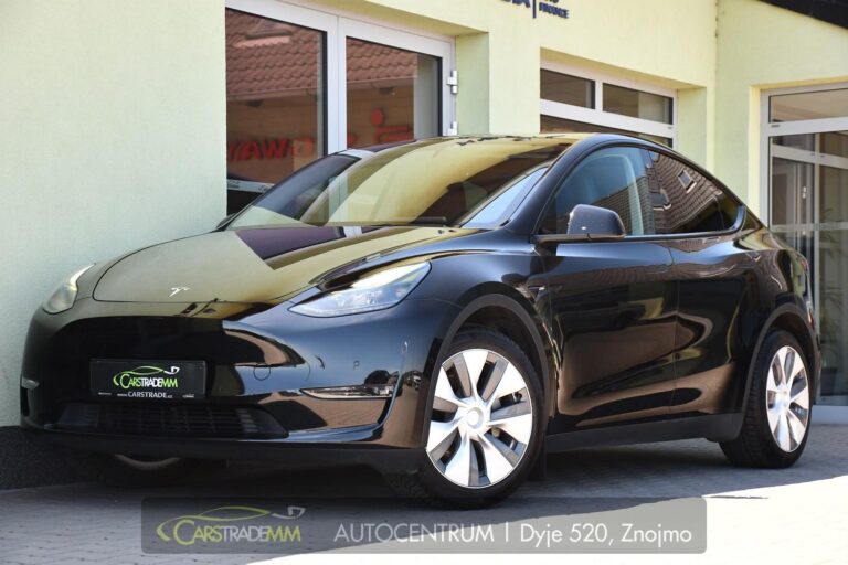 Tesla Model Y LONG RANGE DUAL MOTOR - 1