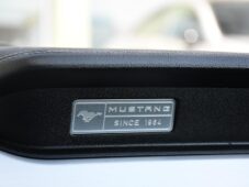 Ford Mustang 5.0V8 REMUS ČR - 33