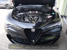 Alfa Romeo Stelvio 2.9V6 Bi-T.382 kW QUADRIFOGLIO - 51
