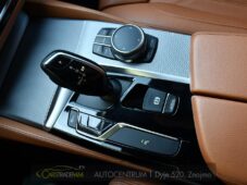 BMW Řada 5 530xD M-SPORT H&K HUD ACC PANO - 31
