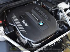BMW Řada 5 530xD M-SPORT H&K HUD ACC PANO - 48
