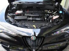 Alfa Romeo Stelvio 2.0T 16V 206kW VELOCE AT8 Q4 - 42