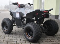 Linhai Ostatní ATV 110 2X4 EFI CE - 2