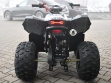 Linhai Ostatní ATV 110 2X4 EFI CE - 4