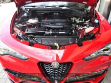 Alfa Romeo Stelvio 2.0T Q4 206KW TRIBUTO ITALIANO - 48