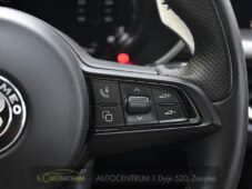 Alfa Romeo Stelvio 2.0T Q4 206KW TRIBUTO ITALIANO - 28