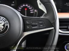 Alfa Romeo Stelvio 2.0 Q4 VELOCE - 29