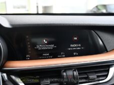 Alfa Romeo Stelvio 2.0 Q4 VELOCE - 31