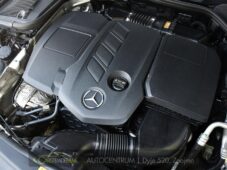 Mercedes-Benz Třídy E 220d 143kW ALLTERRAIN - 55